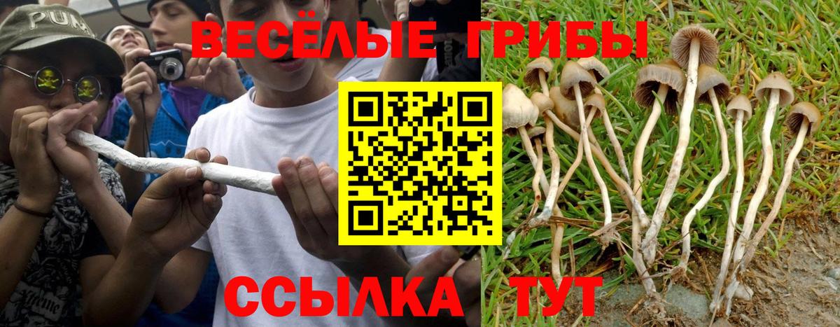 Псилоцибиновые грибы Psilocybe  Галлюциногенные грибы прущие грибы  даркнет сайт  Вход с VPN  Кондопога 